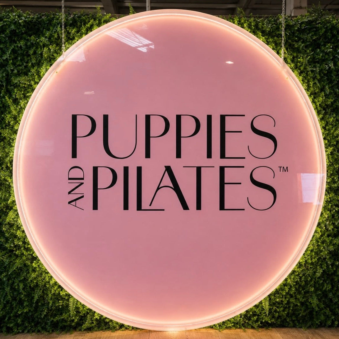A large circular pink illuminated sign with black text reading 'PUPPIES AND PILATES' mounted in front of a green hedge wall.